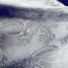 Silver Paisley